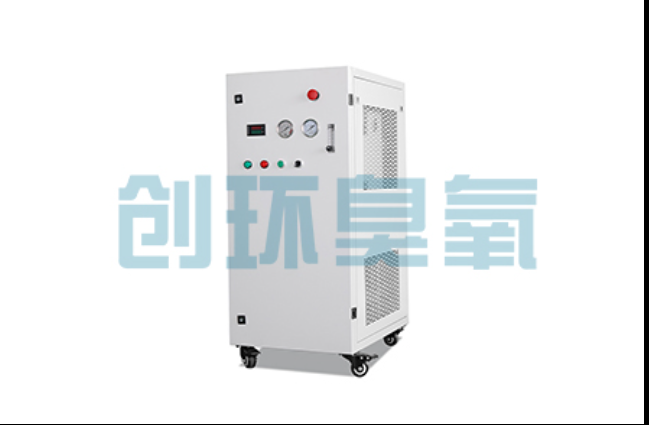 郴州工厂化养鲈必看:2026年臭氧发生器替代传统消毒的最新方案