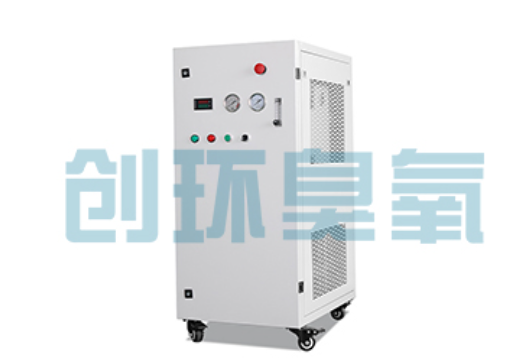 郴州石斑鱼养殖水质调控完整指南：臭氧发生器配置与操作步骤
