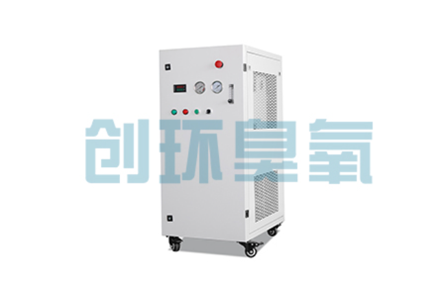 郴州比传统换水更高效？臭氧发生器在石斑鱼养殖中的水质净化原理解析